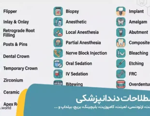 اصطلاحات دندانپزشکی به انگلیسی