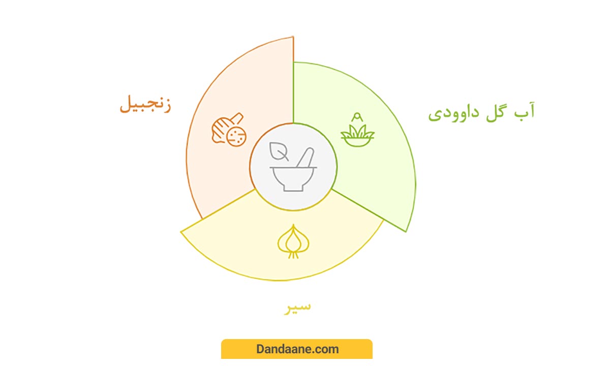 آنتی‌ بیوتیک طبیعی
